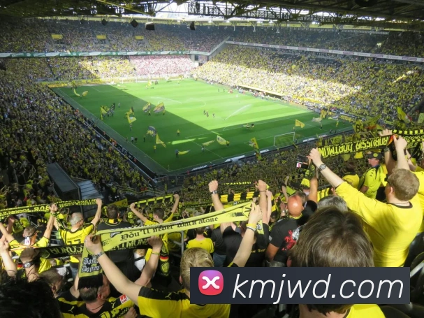 问鼎28服务体系